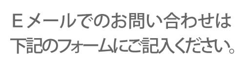 Ｅメールでのお問い合わせは下記のフォームにご記入ください。