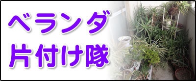 【便利屋】暮らしなんでもお助け隊 福岡田島店にて何でも屋・便利屋サービス「ベランダ片付け隊」は、遠く離れた福岡のご実家のベランダを片付けるサービスを行っています。高齢者は、植木鉢やプランターに植物を植えベランダに置くケースが大変多く、多量の植木鉢やプランター、そして土が排出されます。