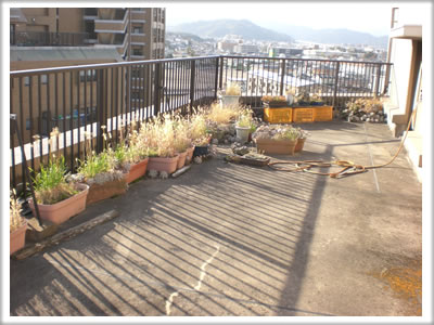 【便利屋】暮らしなんでもお助け隊 福岡田島店　ベランダ植木鉢片付け施工前