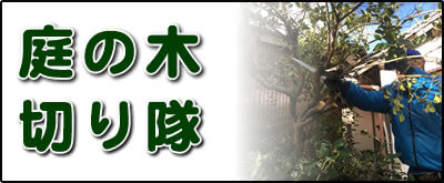 【便利屋】暮らしなんでもお助け隊 福岡田島店にて何でも屋・便利屋サービス「庭の木切り隊」は、遠く離れた福岡のご実家が空き家となり、お庭でボウボウに伸びた庭木の伐採、庭木の剪定を行っています。さらに庭にある倉庫の片付けなども行っています。その他、福岡のご実家・ご両親の心配事・お困り事何でも解決しています。ご相談ください。